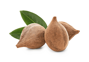 Triphala | טריפאלה (טבליות) – תמונה 2