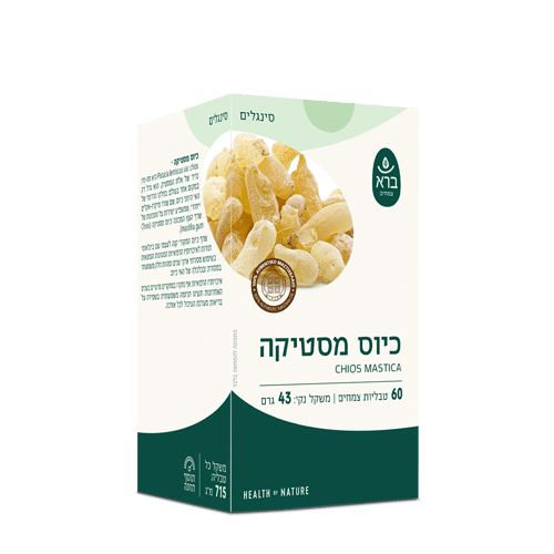Chios Mastika | כיוס מסטיקה – תמונה 2