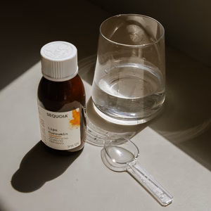 LIPO Curcumin – תמונה 2